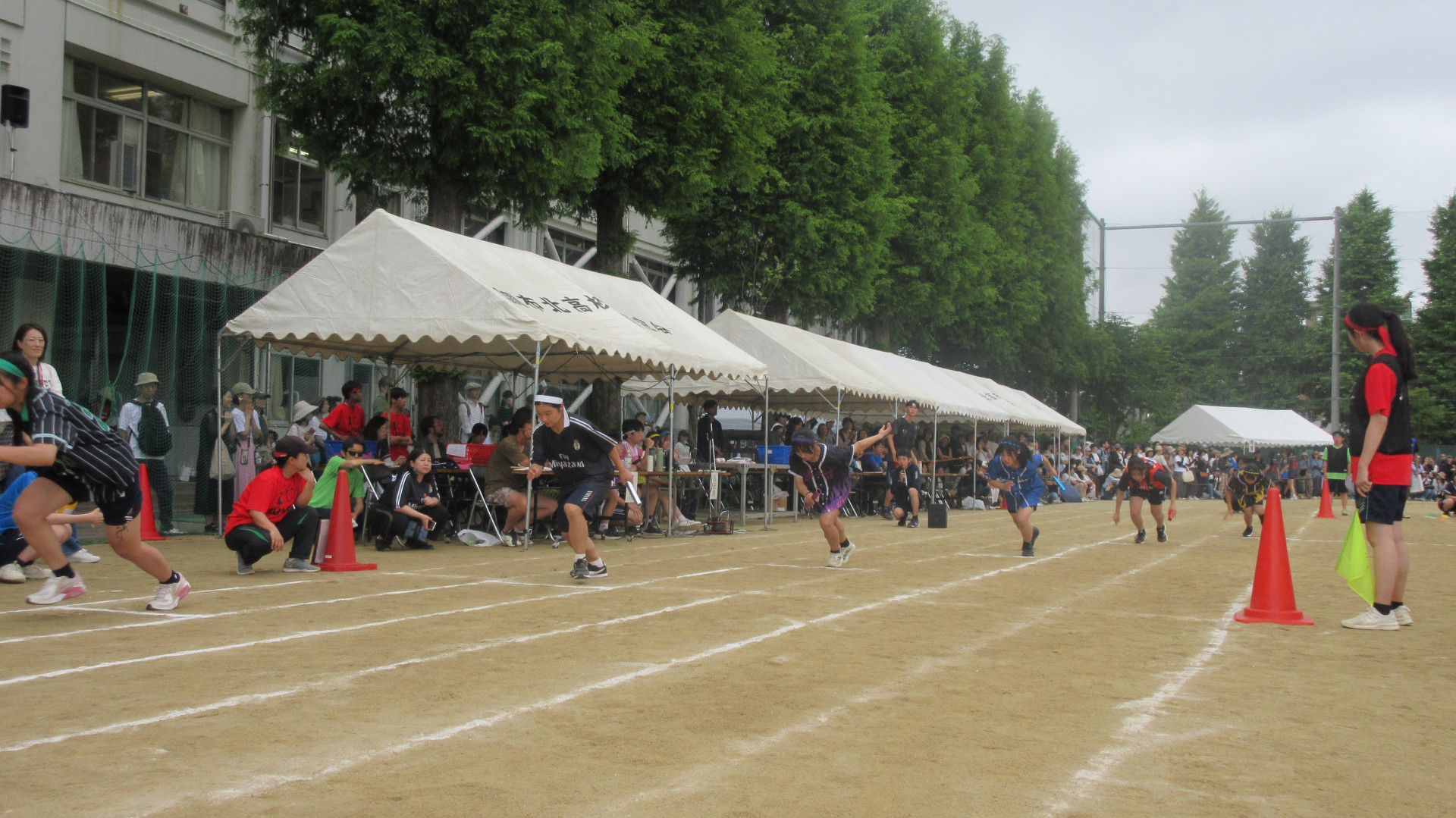 色別１　IMG_0899.JPG